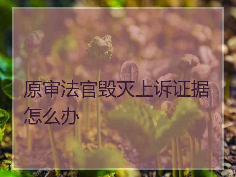 原审法官毁灭上诉证据怎么办