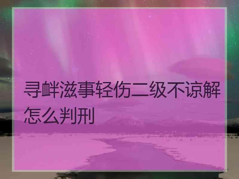 寻衅滋事轻伤二级不谅解怎么判刑