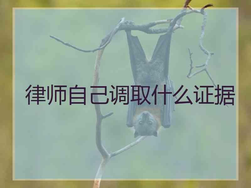 律师自己调取什么证据