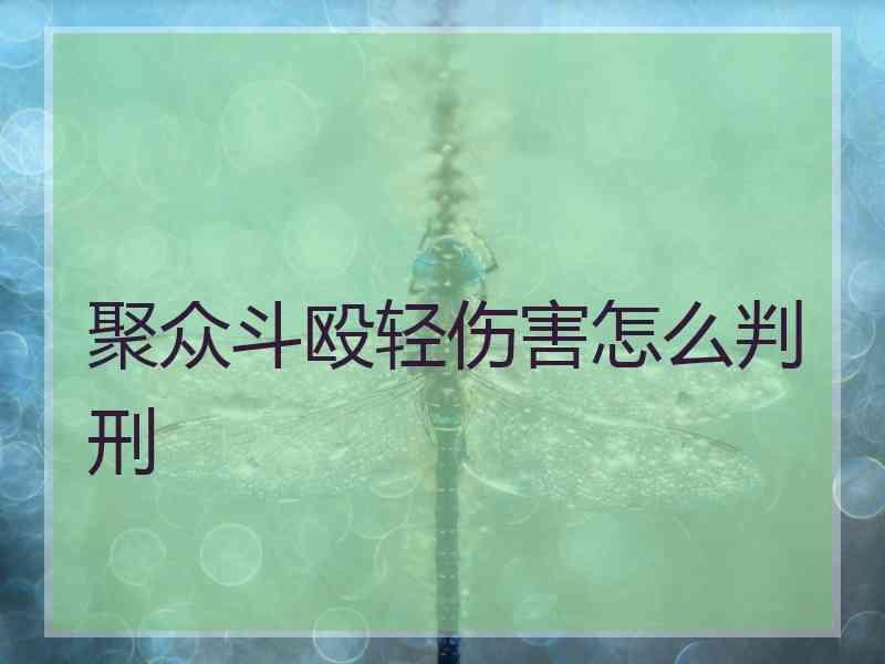 聚众斗殴轻伤害怎么判刑