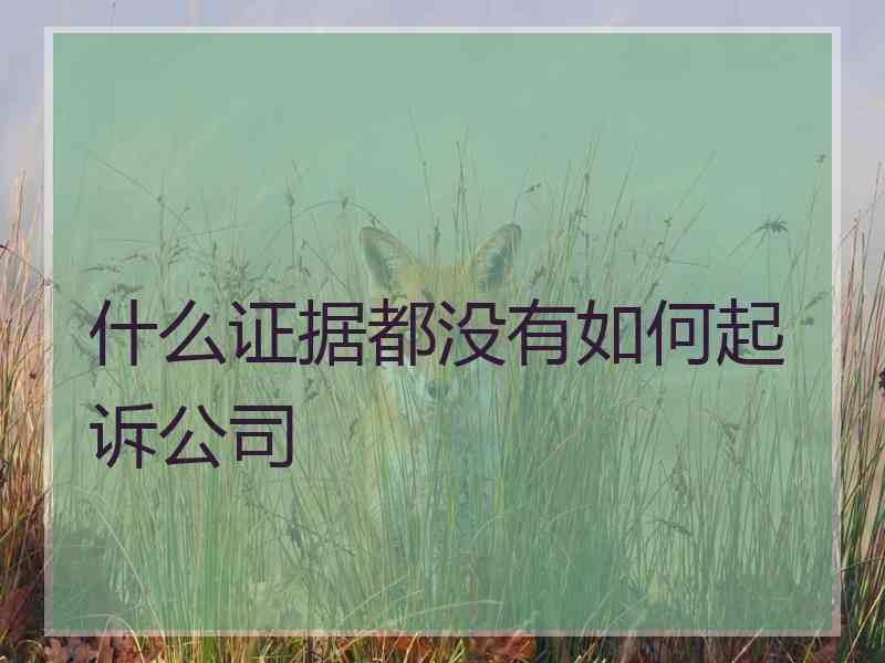 什么证据都没有如何起诉公司