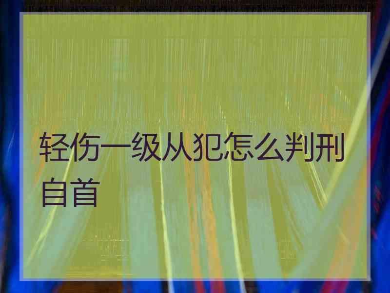 轻伤一级从犯怎么判刑 自首