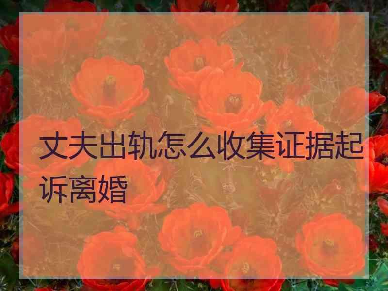 丈夫出轨怎么收集证据起诉离婚