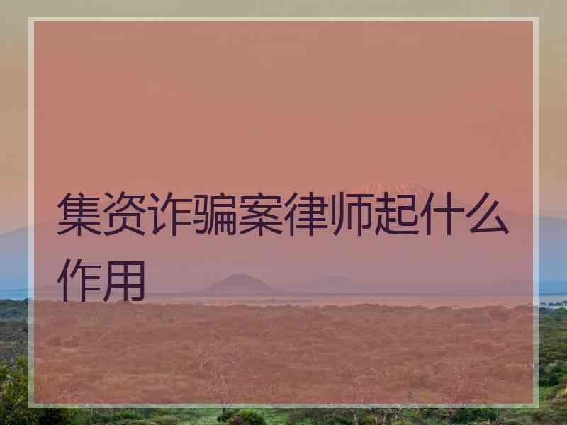 集资诈骗案律师起什么作用