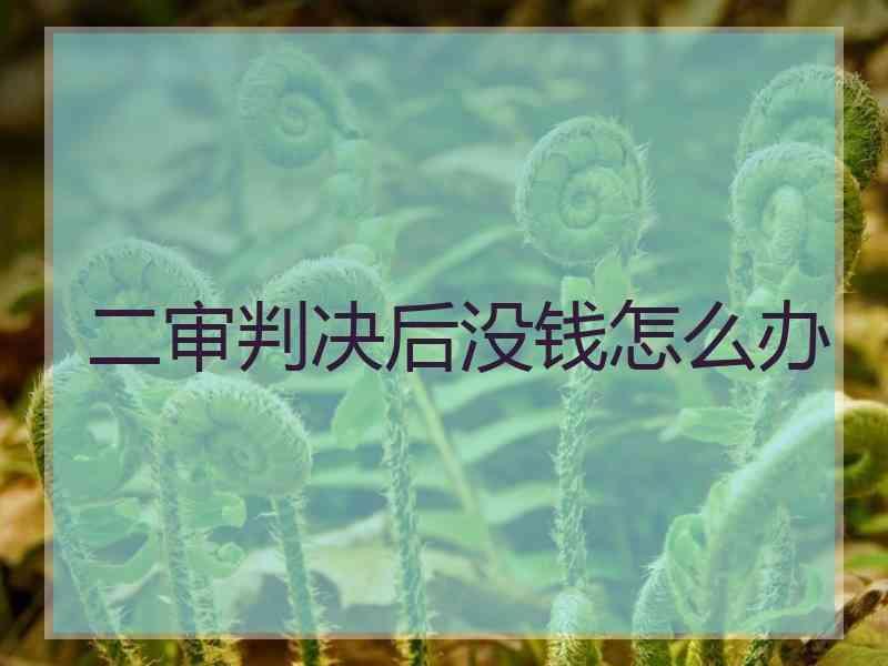 二审判决后没钱怎么办