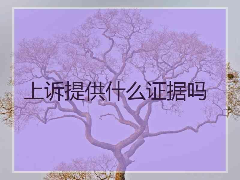 上诉提供什么证据吗