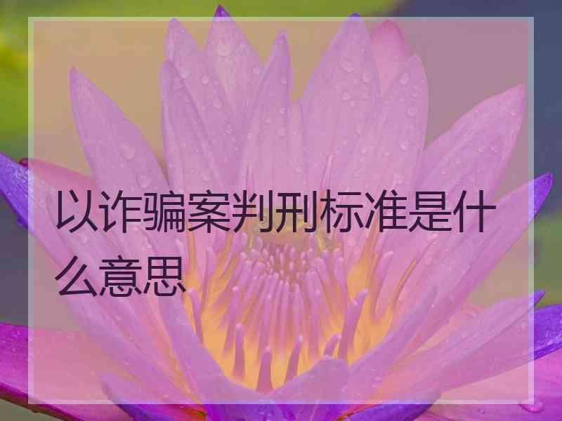 以诈骗案判刑标准是什么意思