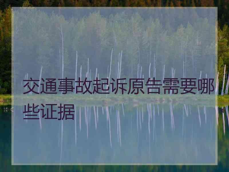 交通事故起诉原告需要哪些证据