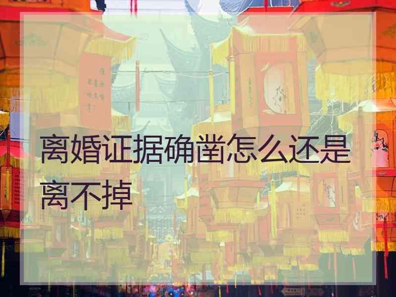 离婚证据确凿怎么还是离不掉