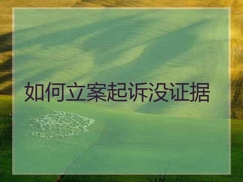 如何立案起诉没证据