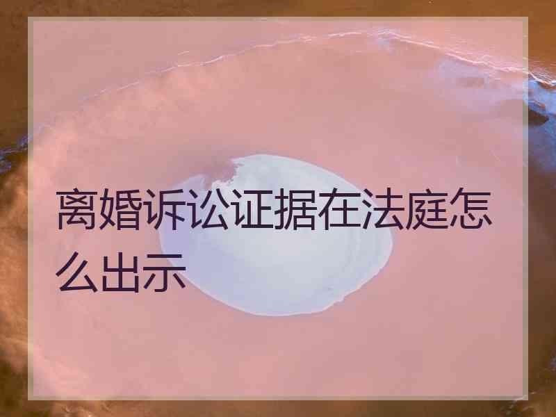 离婚诉讼证据在法庭怎么出示