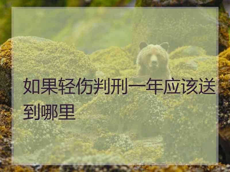 如果轻伤判刑一年应该送到哪里