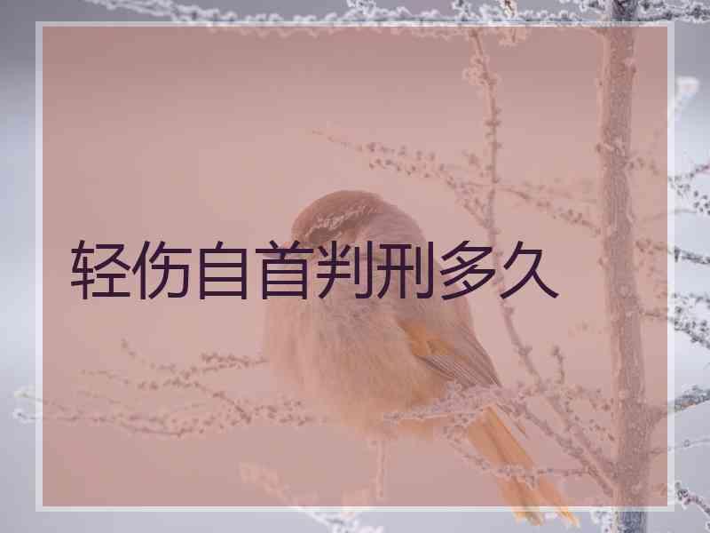 轻伤自首判刑多久