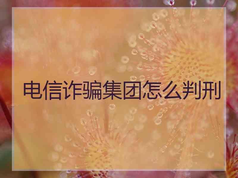 电信诈骗集团怎么判刑