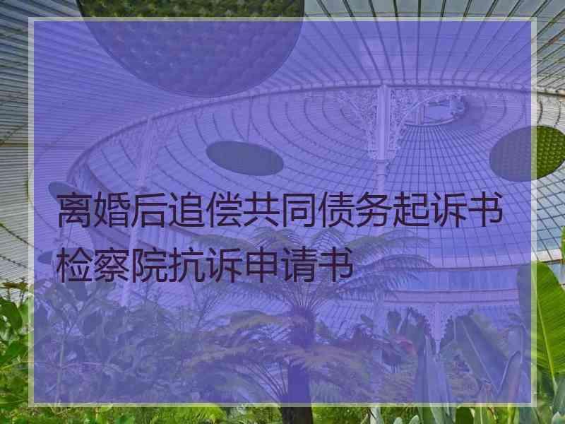 离婚后追偿共同债务起诉书检察院抗诉申请书