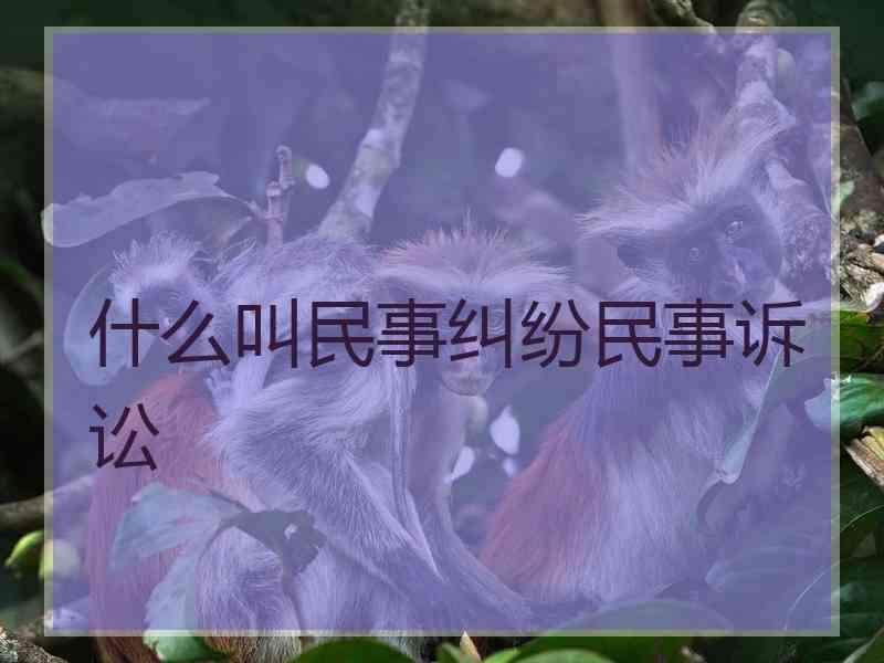 什么叫民事纠纷民事诉讼