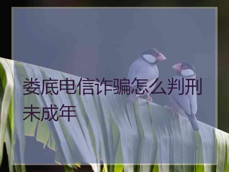 娄底电信诈骗怎么判刑未成年