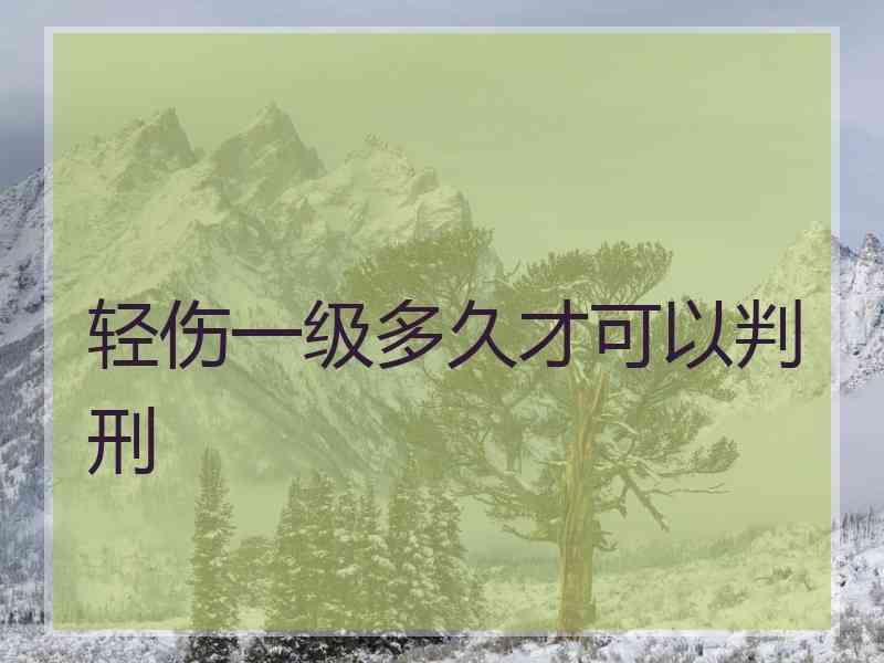 轻伤一级多久才可以判刑