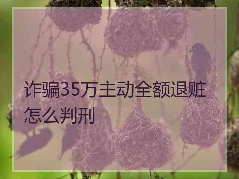 诈骗35万主动全额退赃怎么判刑