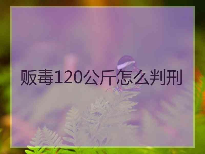 贩毒120公斤怎么判刑