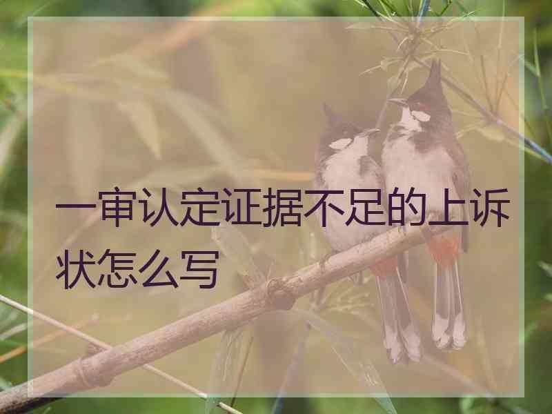 一审认定证据不足的上诉状怎么写