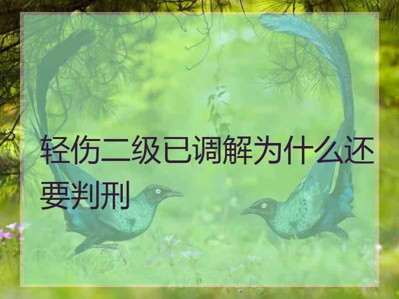 轻伤二级已调解为什么还要判刑