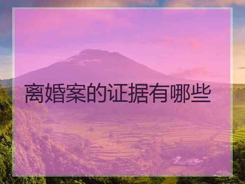 离婚案的证据有哪些