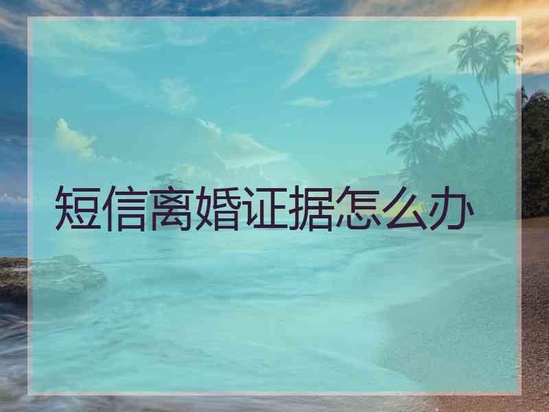 短信离婚证据怎么办