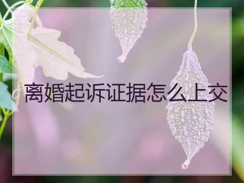 离婚起诉证据怎么上交