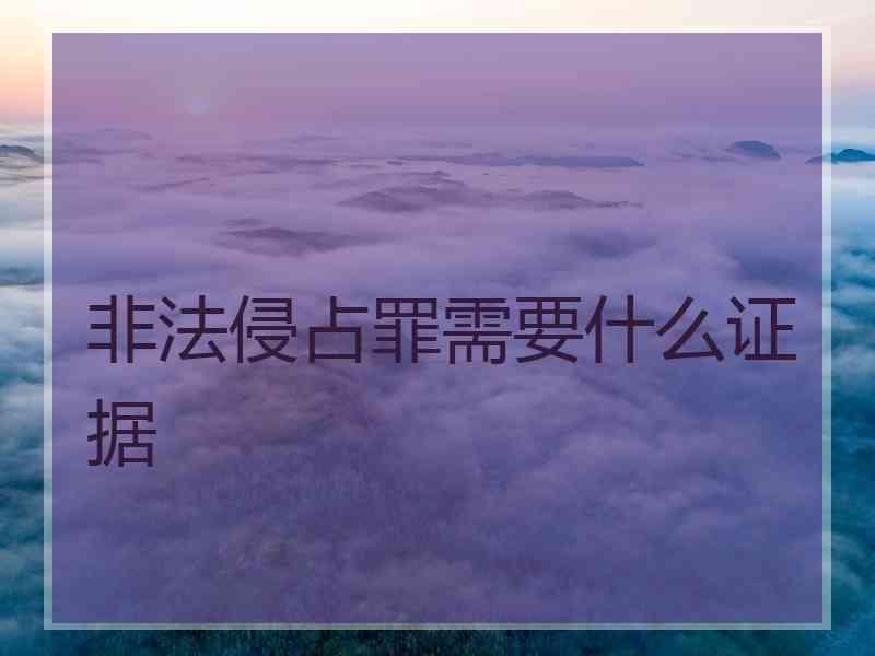 非法侵占罪需要什么证据