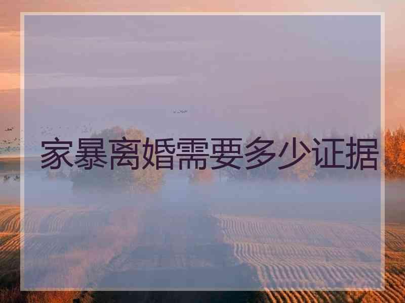 家暴离婚需要多少证据