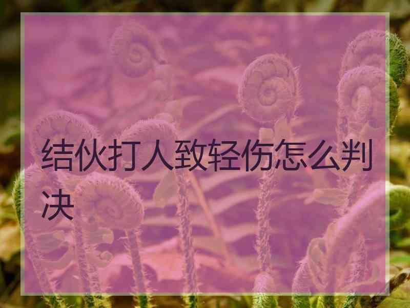 结伙打人致轻伤怎么判决