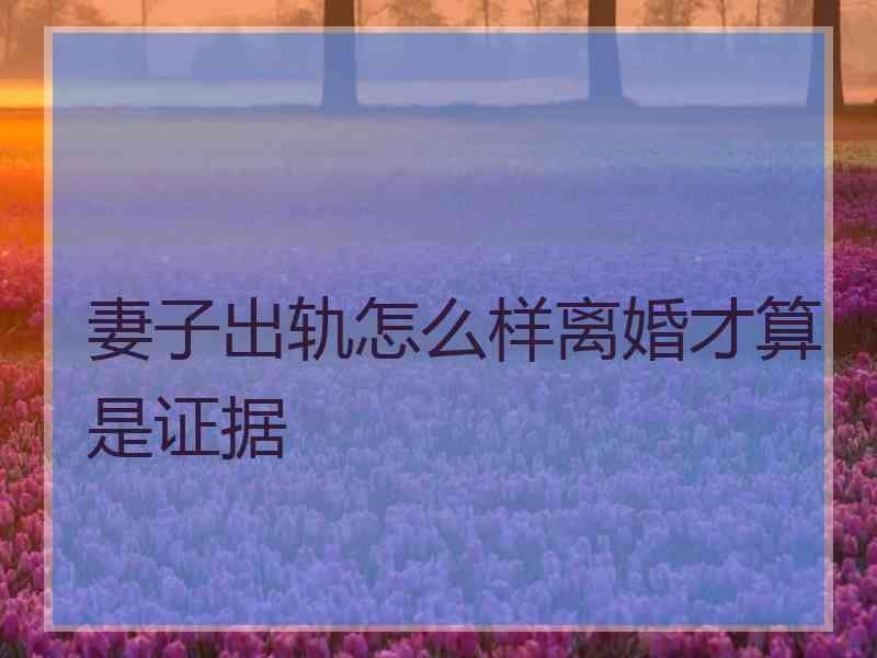 妻子出轨怎么样离婚才算是证据