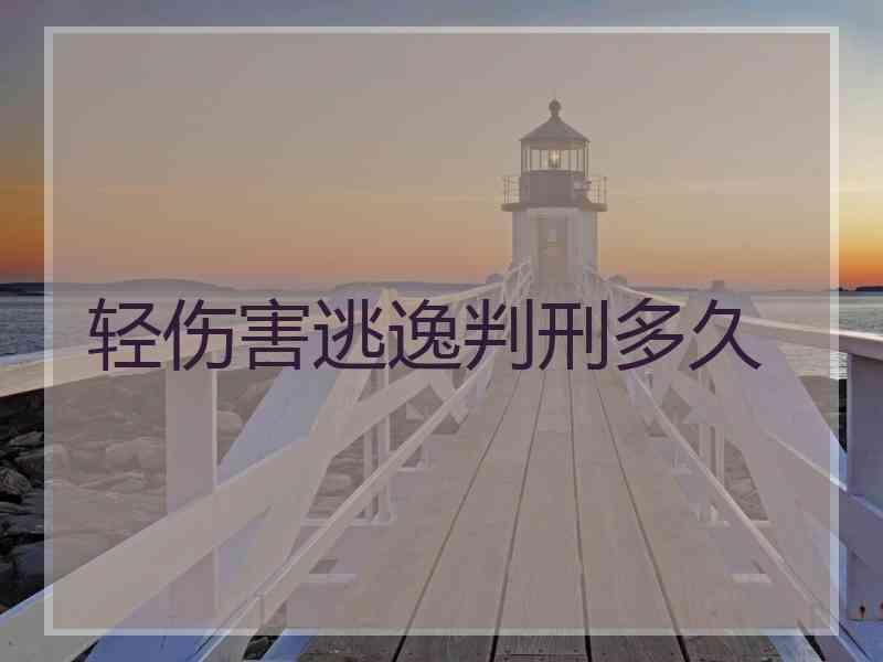 轻伤害逃逸判刑多久