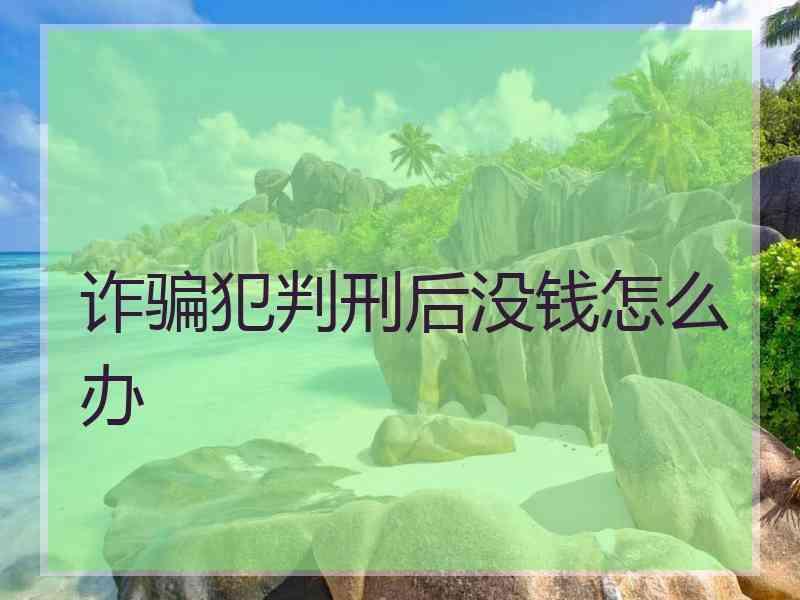 诈骗犯判刑后没钱怎么办