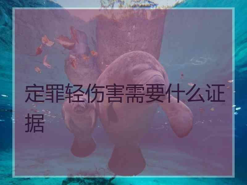 定罪轻伤害需要什么证据