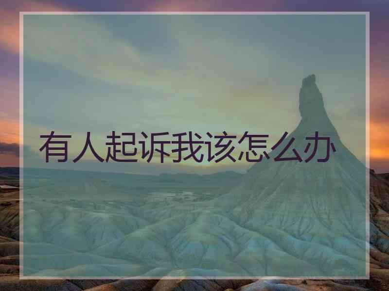 有人起诉我该怎么办