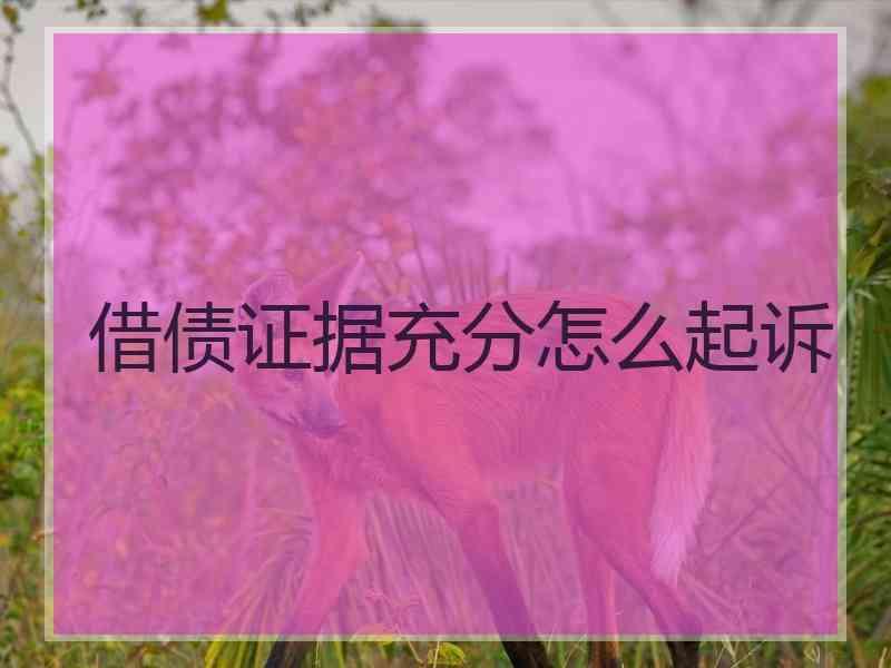 借债证据充分怎么起诉