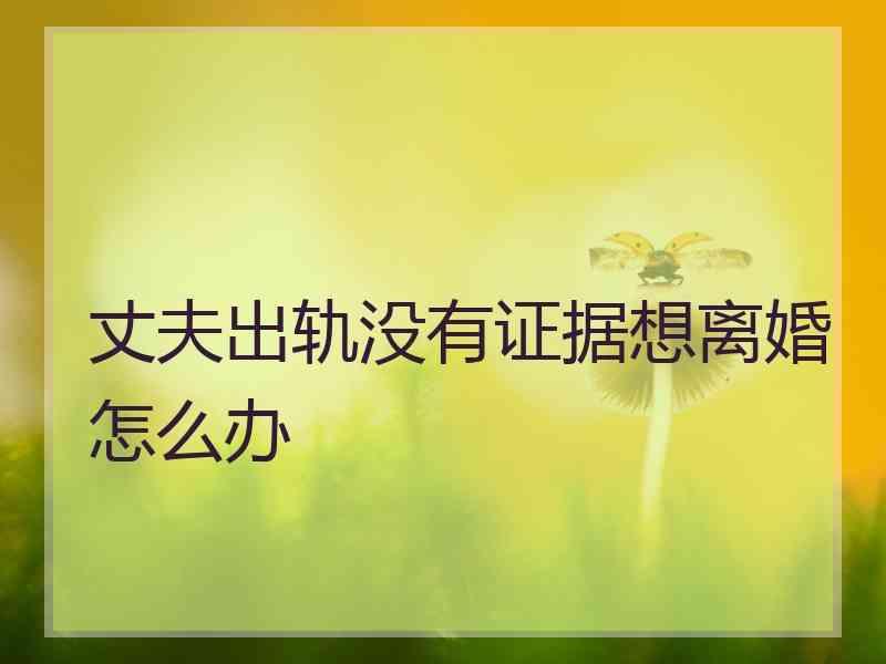 丈夫出轨没有证据想离婚怎么办