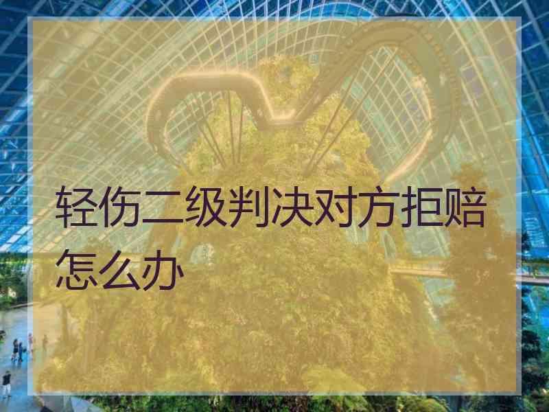 轻伤二级判决对方拒赔怎么办