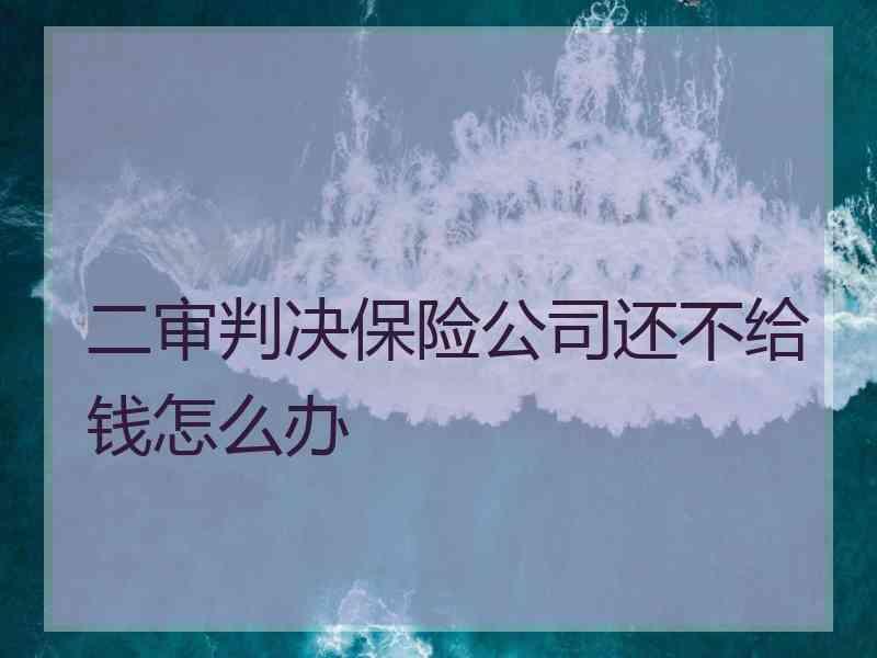 二审判决保险公司还不给钱怎么办