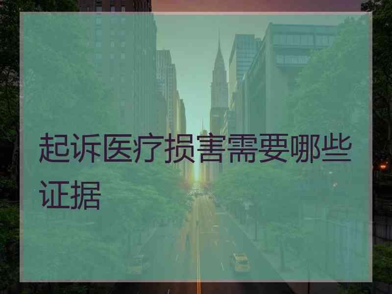 起诉医疗损害需要哪些证据