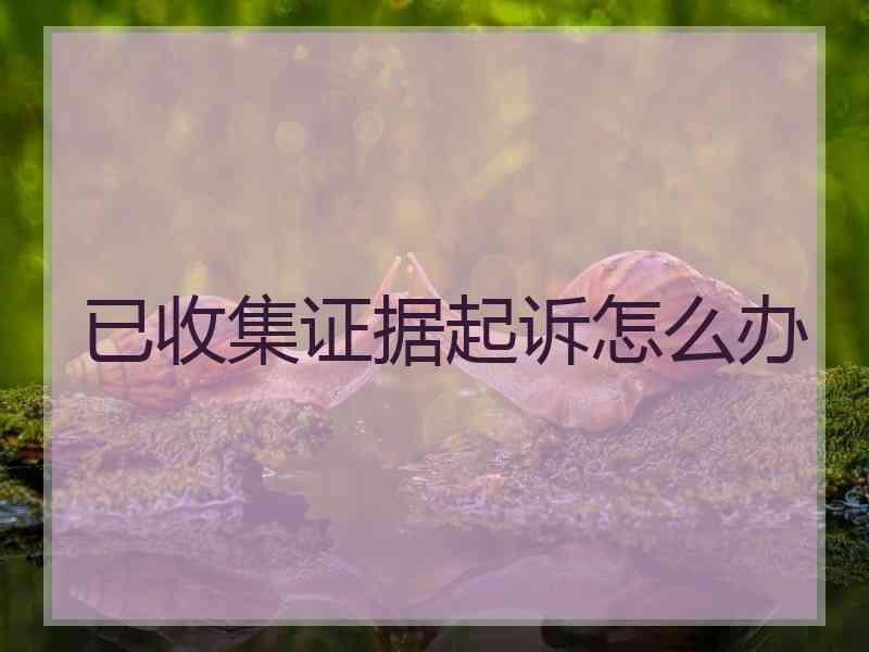 已收集证据起诉怎么办