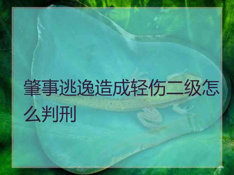 肇事逃逸造成轻伤二级怎么判刑