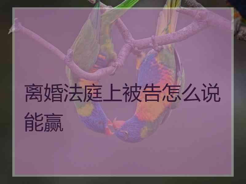 离婚法庭上被告怎么说能赢