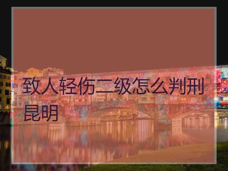 致人轻伤二级怎么判刑昆明