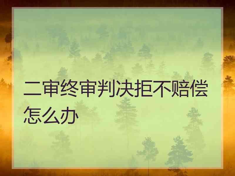 二审终审判决拒不赔偿怎么办