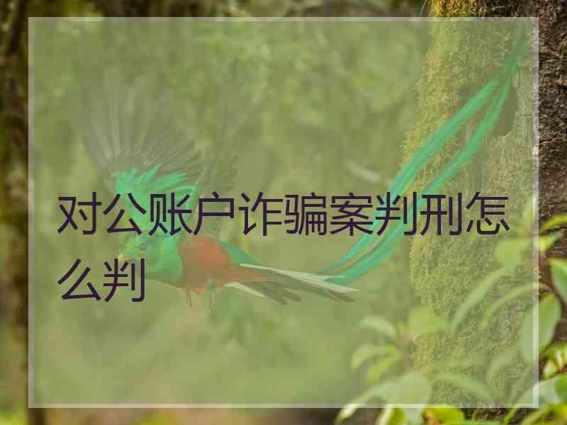 对公账户诈骗案判刑怎么判