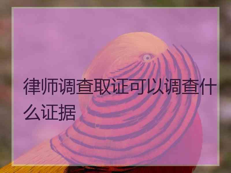 律师调查取证可以调查什么证据