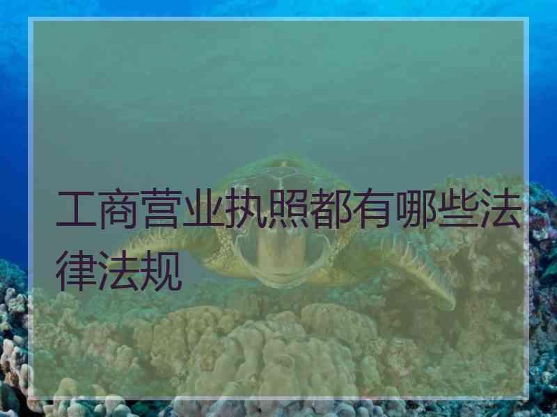 工商营业执照都有哪些法律法规